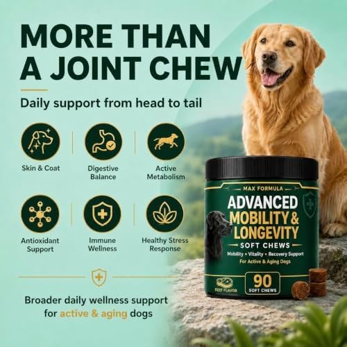 Dog Mobility & Longevity Supplement | Glucosamine | Taurine | L-Carnitine