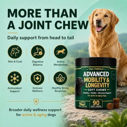 Dog Mobility & Longevity Supplement | Glucosamine | Taurine | L-Carnitine