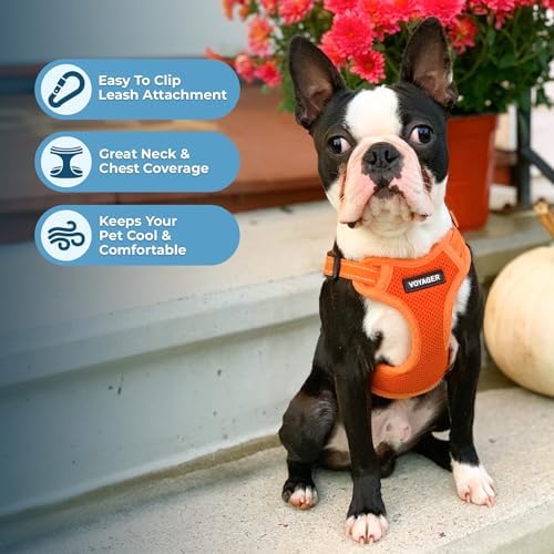 Voyager Step-in Flex Adjustable Dog Harness - Orange, X-Small