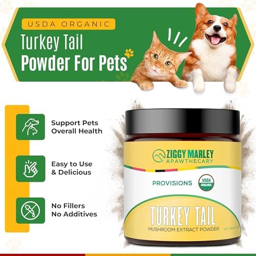 Ziggy Marley's USDA Organic Turkey Tail Mushroom Powder for Dogs & Cats – Support Immunity & Digestion – Fruiting Body Extract, 90 Grams
