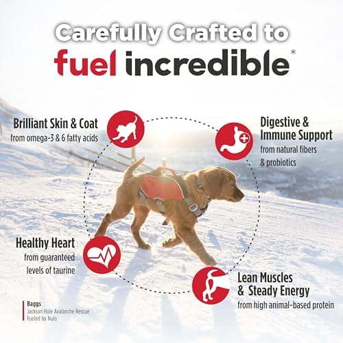 Nulo Freestyle Large Breed Puppy Food - Salmon & Turkey, Dry Grain Free Dog Food for Puppies, Natural, High Protein Kibble with DHA, Probiotics, Calcium & Phosphorus for Healthy Development, 26lb Bag