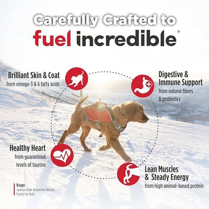 Nulo Freestyle Large Breed Puppy Food - Salmon & Turkey, Dry Grain Free Dog Food for Puppies, Natural, High Protein Kibble with DHA, Probiotics, Calcium & Phosphorus for Healthy Development, 26lb Bag