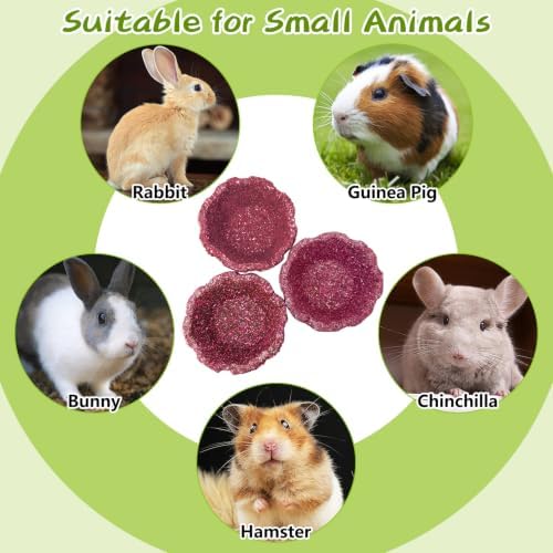 12 Pack Rabbit Chew Toys for Teeth Natural Guinea Pig Toys