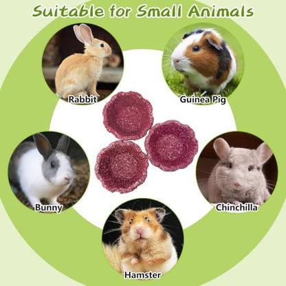 12 Pack Rabbit Chew Toys for Teeth Natural Guinea Pig Toys