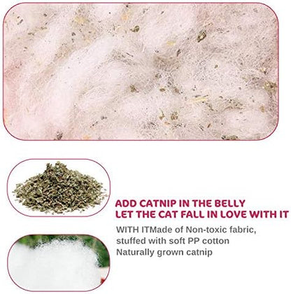 Legendog 5Pcs Catnip Toy, Cat Chew Toy Bite Resistant Catnip Toys for Cats,Catnip Filled Cartoon Mice Cat Teething Chew Toy (Multicolor1)