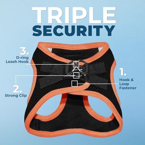 Voyager Step-in Air Dog Harness - All Weather Mesh Step in Vest Harness for Small and Medium Dogs by Best Pet Supplies - Orange Trim, M (Pack of 2)