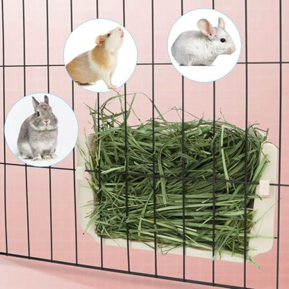 Hypeety Rabbit Hay Feeder Automatic Hay Rack for Guinea Pigs, White, 2pcs