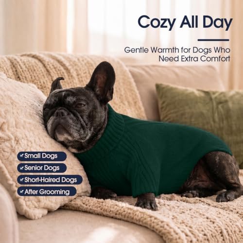 Turtleneck Dog Sweater, Thermal Knitted Sweater for Small Dogs (Green,M)