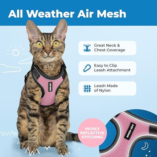 Voyager Escape-Proof Step-in Lock Cat Harness & 5ft Neoprene-Handle Leash Set All-Weather Mesh with Reflective Stitching for Small to Large Cats by Best Pet Supplies, Black Trim-Pink (327), XXS