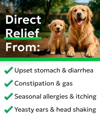 BARK&SPARK Dog Probiotics 120 Chews for Digestive Health w/Enzymes & Fiber