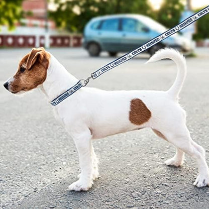 NFL PET Indianapolis Colts Dog Leash, Medium Football Team Leash for Dogs & Cats - Shiny & Colorful, Licensed by The NFL