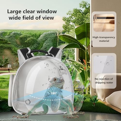 Guinea Pig Backpack Carrier, Bearded Dragon Carrier Backpack with Clear Bubble Window,Small Animal Travel Backpack for Hedgehog Rat Parrot,Rabbit,Sugar Glider,Airline Approved(Black, Backpack)