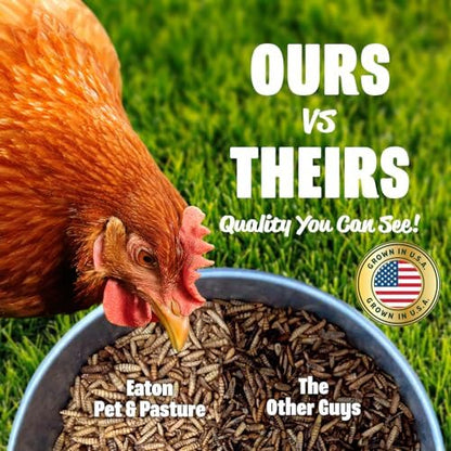 Eaton Pet and Pasture Premium Grubs, USA Grown Dried Black Soldier Fly Larvae, High Calcium Treat for Chickens, Ducks, Wild Birds (1 LB)