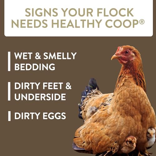 FlockLeader Healthy Coop,Litter Additive for Chicken Coop with Probiotic & Acidifier,Reduces Odor,Wetness & Bacteria,12lbs,(Pack of 3)