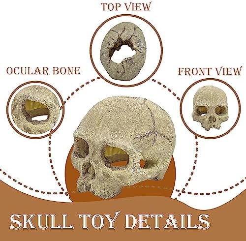 Bearded Dragon Skull Hide Decor,Reptile Natural Seagrass Hammock Lizard Lounger Reptiles Tank Accessories Jungle Climber Bendable Vine Habitat Decorations for Chameleon Spider Snakes(4Pcs)