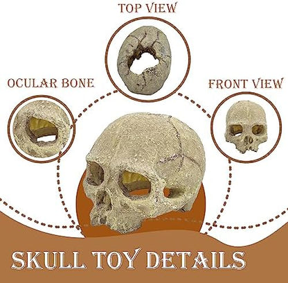 Bearded Dragon Skull Hide Decor,Reptile Natural Seagrass Hammock Lizard Lounger Reptiles Tank Accessories Jungle Climber Bendable Vine Habitat Decorations for Chameleon Spider Snakes(4Pcs)