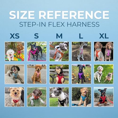 Voyager Step-in Flex Adjustable Dog Harness - Army, Medium