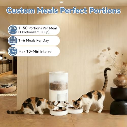 DUMOS 6L Automatic Cat Feeder for 2 Cats, Timed Pet Food Dispenser, Ivory