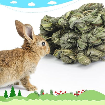 12pcs Timothy Hay Grass-Stick Chew Toys - Natural Dental Chew Snacks for Rabbits, Bunnies & Small Pets: Guinea Pigs, Chinchillas, Hamsters