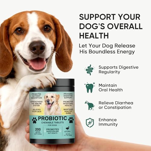 Probiotics for Dogs Gut Digestive Health Probiotic Chews 200 Ct Duck