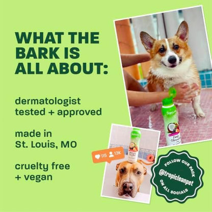 TropiClean Mango & Kiwi Dog Shampoo, 3X Longer Lasting Scent, 20oz
