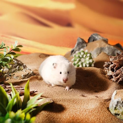 BUCATSTATE Hamster Bath Sand with Pour Spout Large Pack, 13.2LB Desert Bath Sand | No-Dust Potty Litter Calcium-Free Sand for Hamster Chinchillas Gerbil Mice Degu or Other Small Pets (2Pack-Fine Sand)