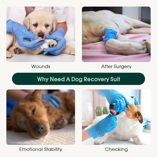 Kuoser Dog Recovery Suit, Female Male Spay Neuter Surgery Suit, Pink, S