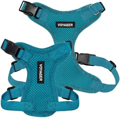 Voyager Step-in Lock Dog Harness - Turquoise, X-Large