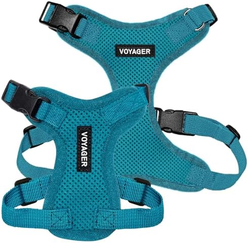 Voyager Step-in Lock Dog Harness - Turquoise, Small