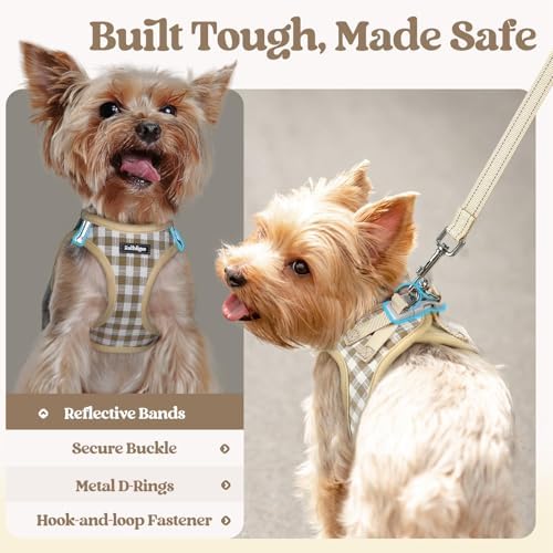 rabbitgoo Dog Harness Small Sized and Leash Set, Step-in Puppy Pet Vest
