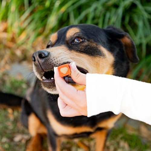 Ark Naturals Protection+ Brushless Toothpaste Chews - Medium Breeds (60 ct)