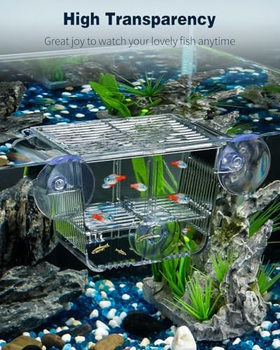 Pawfly Aquarium Breeding Box, Acrylic Fish Isolation Box with 6 Suction Cups, Aquarium Acclimation Hatchery Incubator for Baby Shrimp Betta Aggressive Fish Guppy (Small)