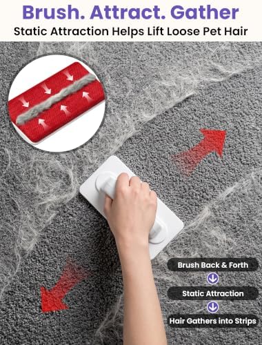 DELOMO Reusable Pet Hair Remover Brush for Furniture, Dog & Cat Fur Remover