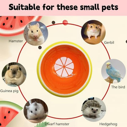 Hamiledyi Hamster Bowl 2 Pack Ceramic Gerbil Food Dish Feeding Bowls for Dwarf Syrian Hamsters Mice Rat Sugar Glider
