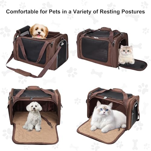 EliteField Deluxe Soft Pet Carrier for Cats and Dogs (3-Year Warranty)