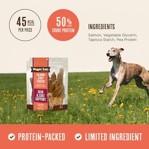 Waggin' Train Salmon Jerky Dog Treats for Skin and Coat Support, Made with 100% Real Salmon, No Grains and No Artificial Flavors or Colors, High Protein Dog Treat, Easily Digestible, 12 oz. Pouch