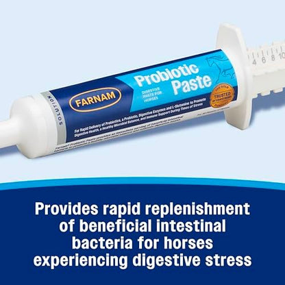 Farnam Probiotic Paste Horses in Syringe Supports Healthy Microbial Balance