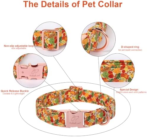 Fall Dog Collar, Cute Autumn Leaves Dog Collar - Soft Cotton Puppy Collars, Adjustable Heavy-Duty Metal Buckle Pet Collars for Small Medium Large Girl Boy Dogs XS