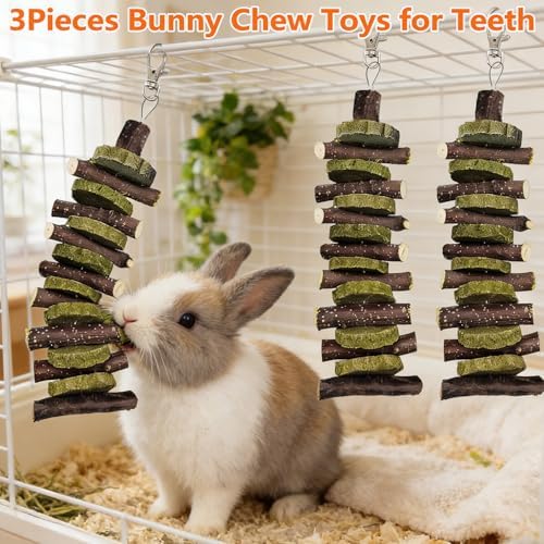 Hamiledyi 3Pieces Bunny Chew Toys for Teeth Natural Fruit Twigs Handmade Timothy Alfalfa Hay Grass Cakes for Guinea Pigs Hamsters Dwarf Rabbits Chinchillas Gerbils Improves Dental Health