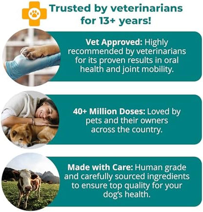 1-TDC Dual Action Joint & Gum Support Soft Gels for Dogs & Cats - 30 ct