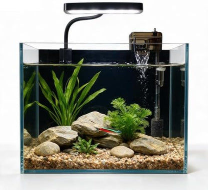 2.5 Gallon Fish Tank Starter Kits, with Led Light, Filter Pump, Cover, Small Fish Tank Betta Aquarium (30x18x20CM)