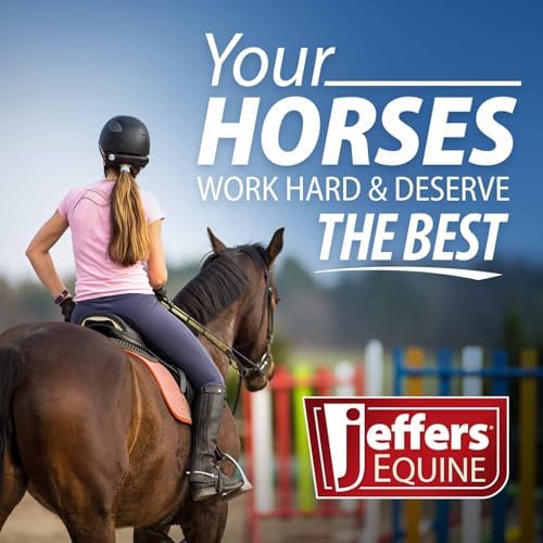 Jeffers Equine 2-in-1 Horse Head Hoof Pick with Cleaning Brush, Durable Hoof Cleaner Tool for Horses, Stiff Bristle Grooming Brush, Equine Stable Tack for Daily Hoof Care and Dirt Removal - Blue