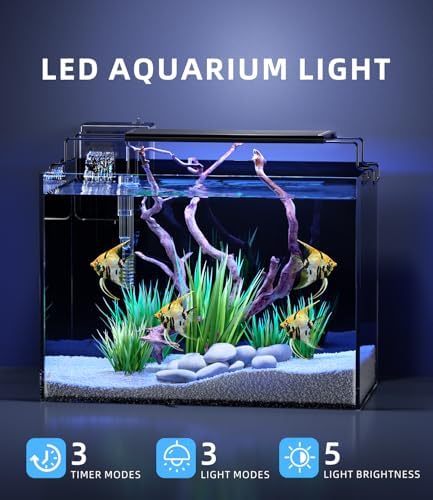 5 Gallon Fish Tank Starter Kit with Heater Filter Light Glass Rimless