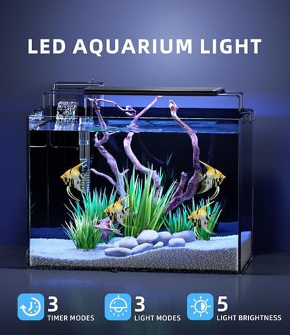 5 Gallon Fish Tank Starter Kit with Heater Filter Light Glass Rimless
