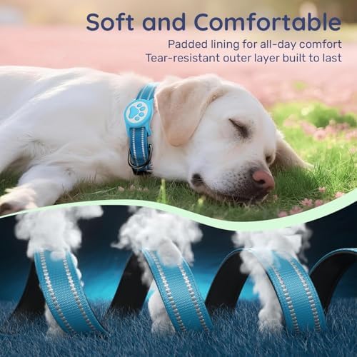 Premium Airtag Dog Collar，with IP68 Waterproof AirTag Holder,Blue,XL