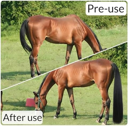 33.5 IN Long 1 LB Horse Tail Extension with Braided Horsehair Loop & Blunt Cut Bottom (Natural Black)