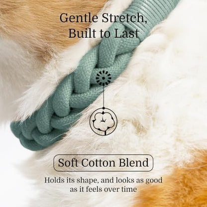 Fei & Eve Hand-Braided Martingale Dog Collar