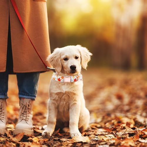 Dog Collars, Fall Dog Collar Fall Leaf Print Pet Collar Durable Metal Collar Cute Soft Puppy Collars Adjustable Dog Collar for X-Large Dogs