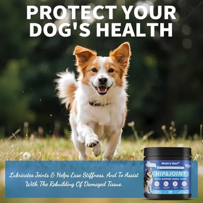Biotic’s Gain Dog Joint Supplement | Glucosamine for Dogs | 120 Soft Chews