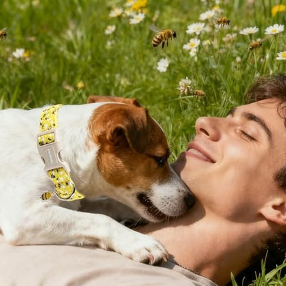 DOGWONG Cute Cotton Dog Collar for Small Medium Large Dogs Cute Yellow Bee Dog Collar for Boy Girl Dogs,XL